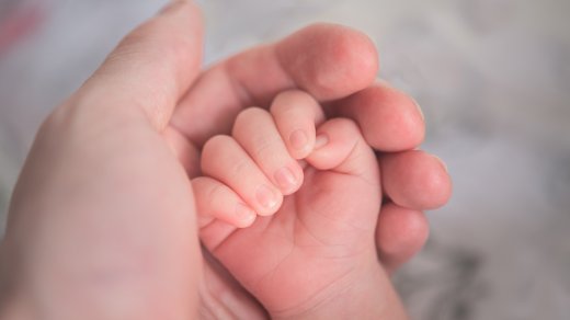 Gestational Surrogacy, Family Aims, mistaken